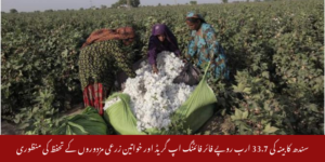 سندھ کابینہ کی 33.7 ارب روپے فائر فائٹنگ اپ گریڈ