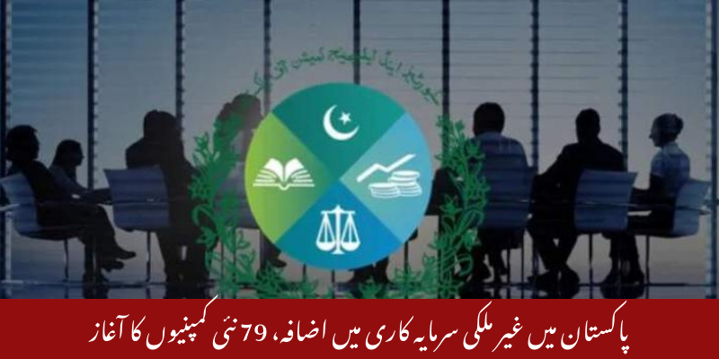 پاکستان میں غیر ملکی سرمایہ کاری اضافہ، 79 کمپنیوں کا آغاز