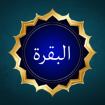 Surah Al Baqarah Overview & Meaning